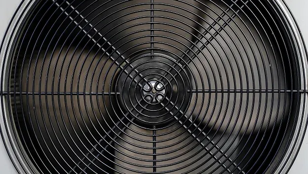 Fans